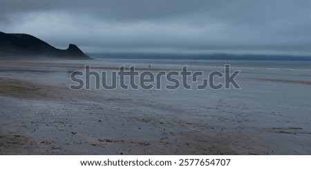 Similar – Image, Stock Photo A serene beachscape at Lariño with seagulls flying over gentle waves under a clear blue sky, reflecting tranquility and the beauty of Galicia