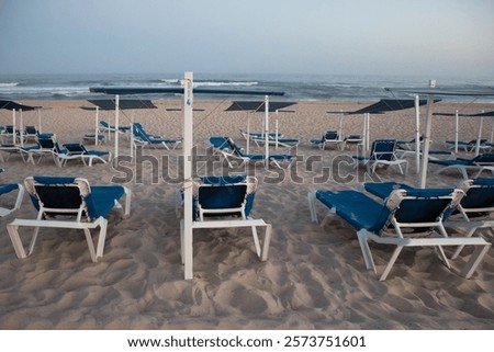 Similar – Image, Stock Photo A serene beachscape at Lariño with seagulls flying over gentle waves under a clear blue sky, reflecting tranquility and the beauty of Galicia