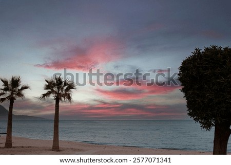 Similar – Image, Stock Photo A serene beachscape at Lariño with seagulls flying over gentle waves under a clear blue sky, reflecting tranquility and the beauty of Galicia