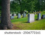 A serene cemetery scene with various gravestones set on a grassy hillside, surrounded by lush green trees. The atmosphere is peaceful and reflective.