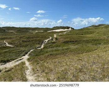 Serene Coastal Dunes under Clear Blue Sky - Powered by Shutterstock