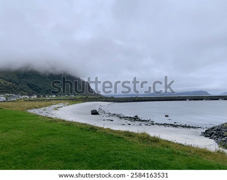 Similar – Image, Stock Photo Serene coastal grasses at sunset in Miami, Florida