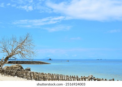 A serene coastal landscape featuring a weathered wooden fence, a lone tree, and a vast expanse of turquoise ocean under a clear blue sky. - Powered by Shutterstock