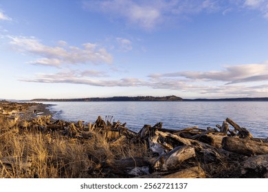 Serene coastal landscape showcasing driftwood along the shore with a peaceful sunset over the horizon, highlighting a distant island view and calming ocean waves under a vibrant, picturesque sky. - Powered by Shutterstock