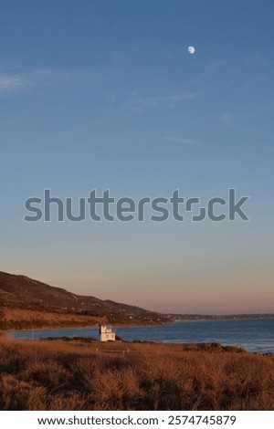 Similar – Image, Stock Photo Serene coastal grasses at sunset in Miami, Florida