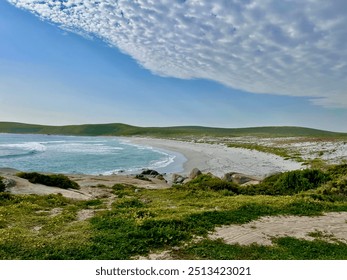 Serene coastal landscape with tranquil sandy beach, gentle ocean waves, lush greenery, and a blue sky with scattered clouds. Perfect for nature, travel, and beach stock photography. - Powered by Shutterstock