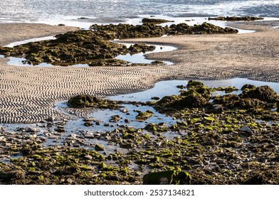 A serene coastal scene showcasing the intricate patterns of rippled sand exposed at low tide, interspersed with pools of shallow water. - Powered by Shutterstock