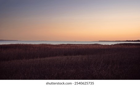 Serene coastal sunrise over marsh grasses and calm water with a soft gradient sky. - Powered by Shutterstock