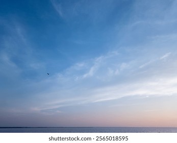 Serene coastal sunset with a lone bird silhouetted against a sky painted with delicate hues. - Powered by Shutterstock