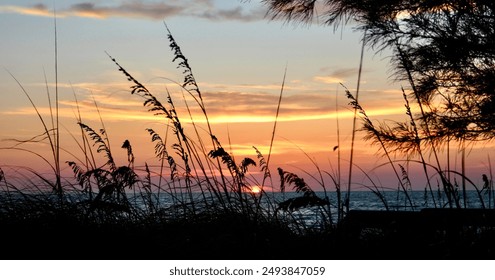 Serene coastal sunset with silhouettes of tall grasses and tree branches framing the vibrant orange and pink hues of the sun setting over the ocean, creating a peaceful and picturesque scene. - Powered by Shutterstock