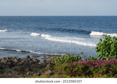 A serene coastal view featuring gentle waves lapping at the shore, surrounded by rocky formations and vibrant bougainvillea flowers in the foreground. - Powered by Shutterstock