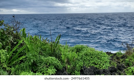 Serene coastal view with lush green vegetation, rocky cliffs, and a vast blue ocean under a cloudy sky. - Powered by Shutterstock