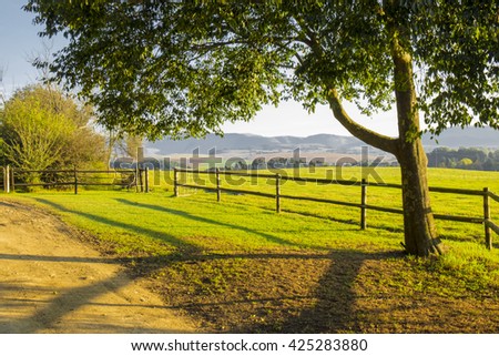 Serene country scene, fence and tree