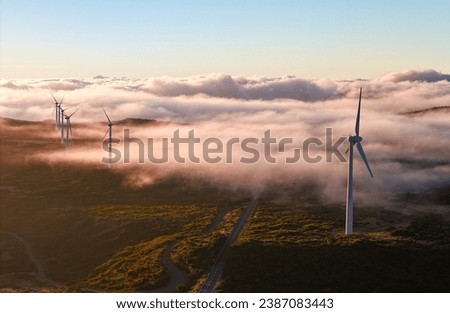 Serene dawn over wind farm on misty hills, with turbines silhouetted against a soft sky, symbolizing renewable energy.