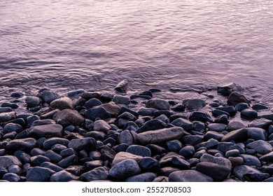 Serene early morning light enhances the tranquil beauty of Vancouver Island's rocky shoreline. Gentle waves lap against smooth stones, reflecting the peaceful ambiance of a Canadian sunrise. - Powered by Shutterstock