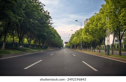 Serene Empty Tree-Lined Road at Dusk - Powered by Shutterstock