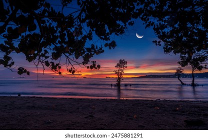 Serene evening at beach with silhouette of trees and crescent moon