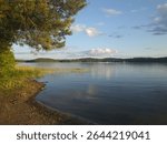 A serene Finnish lake in Anttola, Mikkeli, with a sandy shore, green reeds, and a pine tree branch framing the expansive water and distant forested islands.