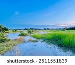 Serene Flooded Grassland at Dusk