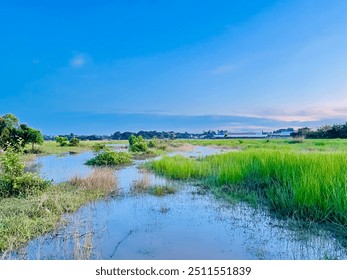 Serene Flooded Grassland at Dusk - Powered by Shutterstock