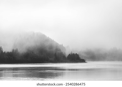 Serene Foggy Lake with Birds in a Minimalist Black and White Landscape - Powered by Shutterstock