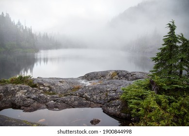 Serene foggy landscape with rock and tree foreground, mountain in background.  - Powered by Shutterstock