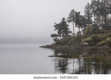 A serene foggy morning on Vancouver Island, BC, Canada, featuring a tranquil coastal landscape with calm waters, rocky shores, and evergreen trees. Perfect for evoking peace and natural beauty. - Powered by Shutterstock