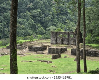 A serene forest clearing with ancient ruins surrounded by lush greenery and tall trees, creating a peaceful and historic atmosphere in nature. - Powered by Shutterstock