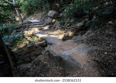 Serene Forest Pathway with Stone Steps and Lush Greenery - Powered by Shutterstock