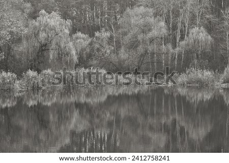 Serene forest reflects tranquil water, creating symmetrical beauty. Contrast light and shadows enhances grayscale texture. Undisturbed pond mirrors woodland, showcasing biodiversity natural habitat