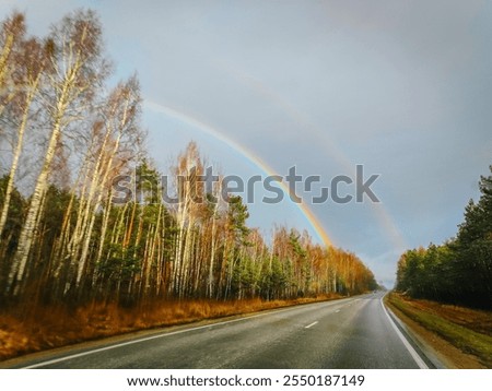A serene forest road bordered by trees under a vibrant rainbow arching across a cloudy sky. Perfect for nature, travel, or weather-themed visuals. No visible logos or trademarks.