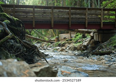 A serene forest scene featuring a wooden bridge over a gently flowing stream. The area is surrounded by lush greenery, rocks, and tree roots, creating a tranquil natural setting. - Powered by Shutterstock