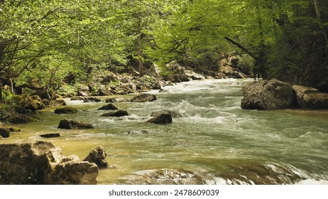 A serene forest scene with rushing stream, boulders and lush foliage, epitomising tranquillity and untouched wilderness. Beautiful mountain wild river - Powered by Shutterstock