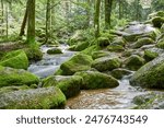 Serene forest scene, small stream flowing through moss-covered rocks, lush greenery, tranquil water. Europe, Germany, Black Forest, Buhlertal, Gertelbach.