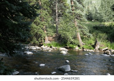 A serene forest stream with clear water flowing over smooth rocks, surrounded by lush green trees and vegetation under soft sunlight. - Powered by Shutterstock