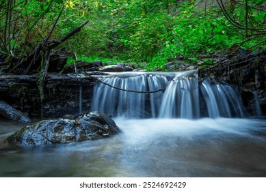 A serene forest stream flows over a small rocky ledge, creating a gentle waterfall. Green foliage and rocks surround the clear water, reflecting the tranquility of the natural setting. Sunlight filter - Powered by Shutterstock