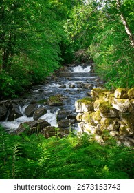 Serene forest stream flows through vibrant green foliage, with moss-covered rocks and gentle cascades, evoking tranquility and nature's beauty.
