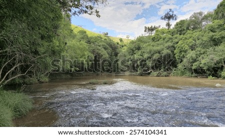 Similar – Image, Stock Photo Serene forest stream viewed through tree trunks