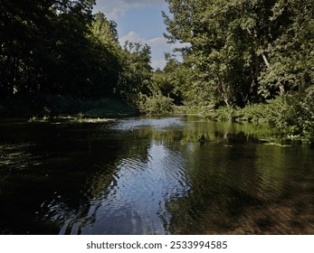 Serene forest stream surrounded by lush greenery, moss-covered rocks, and flowing water. Perfect for nature, wilderness, tranquility, and eco-themed designs. High quality photo - Powered by Shutterstock