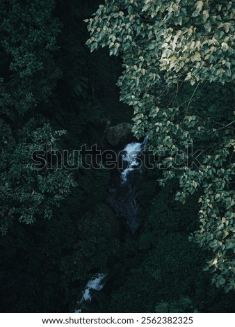 Similar – Image, Stock Photo Serene forest stream viewed through tree trunks