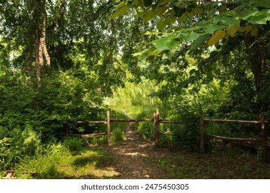 A serene forest trail with a weathered wooden fence leads into a sunlit green landscape. Overhanging branches cast gentle shadows, creating a tranquil ambiance at Brushy Creek Regional Trail in Cedar  - Powered by Shutterstock