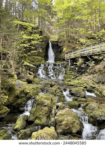 Serene forest waterfall - Dickson Falls in Fundy National Park, June 2023