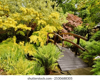 A serene garden scene featuring a wooden bridge surrounded by colorful trees and lush greenery, capturing a peaceful ambiance perfect for relaxation and meditation. - Powered by Shutterstock