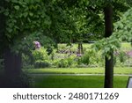 A serene garden scene framed by lush green foliage, featuring a well-maintained flowerbed adorned with vibrant pink and purple flowers. Halifax Public Gardens, Halifax, NS Canada