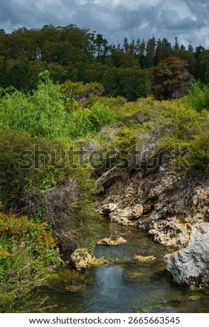 A serene geothermal stream winds through rocky outcrops and dense native bush in Rotorua, New Zealand, surrounded by vibrant greenery and whispering the sounds of untouched nature.