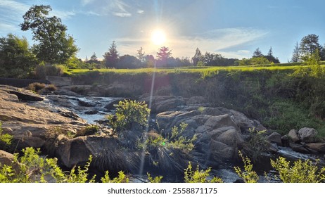 A serene golden-hour scene with a stream flowing over rocks, surrounded by lush greenery. Warm sunlight illuminates a grassy field with scattered trees under a clear, blue sky. - Powered by Shutterstock