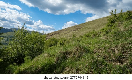 Serene hillside under a dramatic cloudy sky