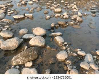 A serene image of river rocks partially submerged in clear water. The stones vary in size, scattered across a shallow stream, reflecting the peaceful ambiance of nature - Powered by Shutterstock