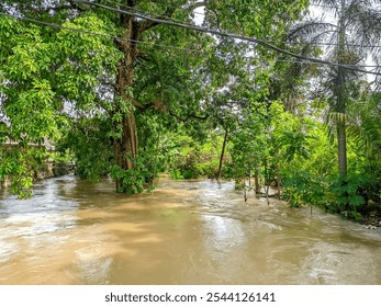 A serene image of a swollen river amidst lush tropical greenery, captured after heavy rainfall. Tall trees and dense vegetation line the riverbanks, creating a natural canopy over the flooded area - Powered by Shutterstock