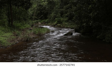 A serene image of a tiny waterfall cascading gently amidst a dense, lush forest. The crystal-clear water flows over moss-covered rocks, surrounded by vibrant greenery and towering trees. 
